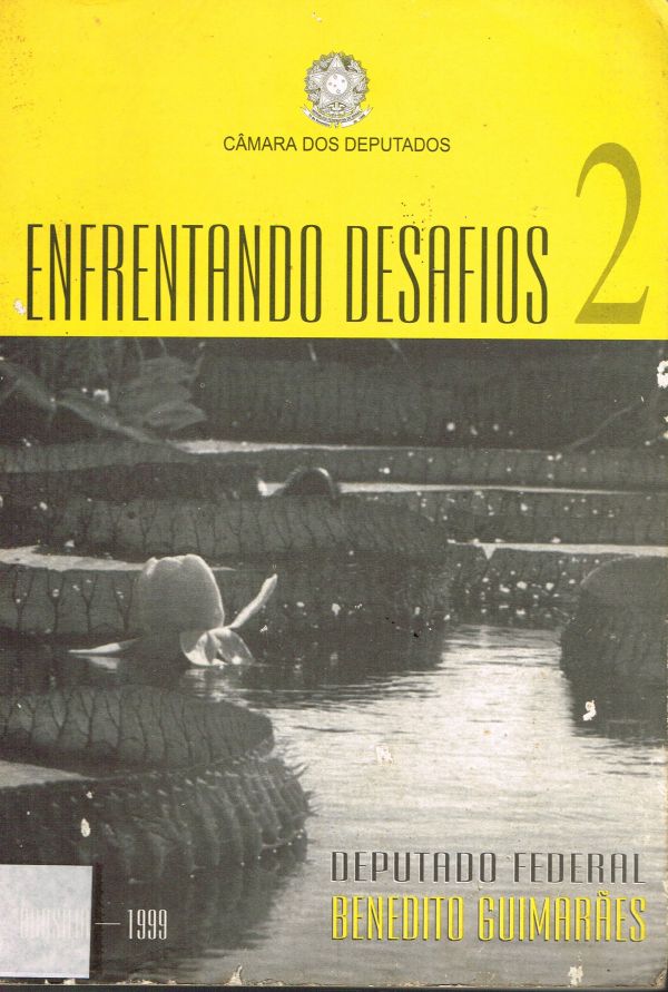 Enfrentando Desafios - 2